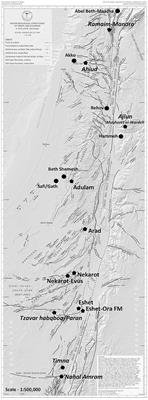 “A land whose stones are iron...”—Iron ore sources in the Southern Levant